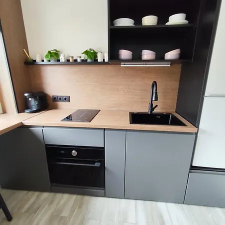 Janonio 39 Apartamentai Butas Palanga