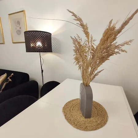 Janonio 39 Apartamentai Palanga